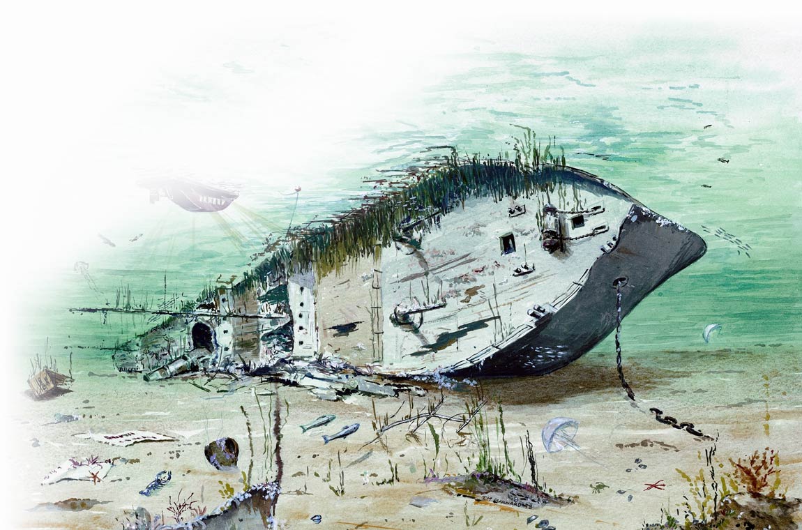 HMS Port Napier Shipwreck